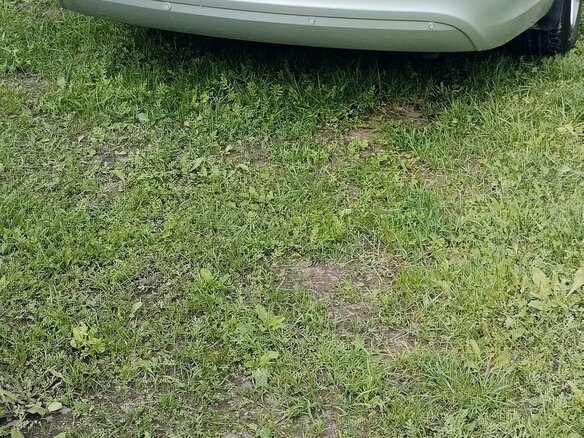 2009 Kia Magentis II Рестайлинг, серебристый, 750000 рублей - вид 6
