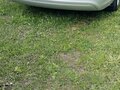 2009 Kia Magentis II Рестайлинг, серебристый, 750000 рублей - вид 6