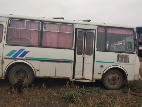 2010 ПАЗ 32053-20, белый, 350000 рублей, вид 1