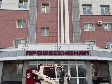 2025 Профессионал ПМ-1000, пурпурный, 3700000 рублей, вид 5
