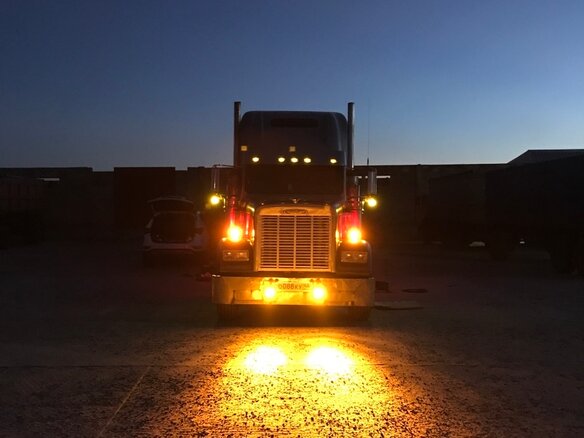 2000 Freightliner FLD, голубой, 2500000 рублей - вид 2
