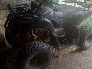 2020 Avantis MT250, чёрный, 85000 рублей, вид 1