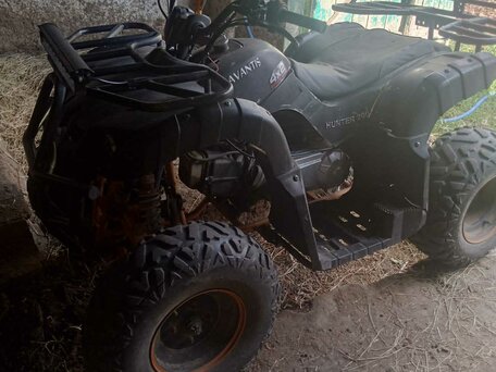 2020 Avantis MT250, чёрный, 85000 рублей, вид 1