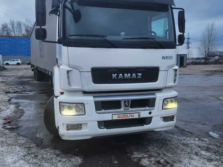 2018 КамАЗ 5490, белый, 2950000 рублей, вид 1