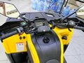 2025 Tao Motor Titan 300, жёлтый, 449000 рублей - вид 6