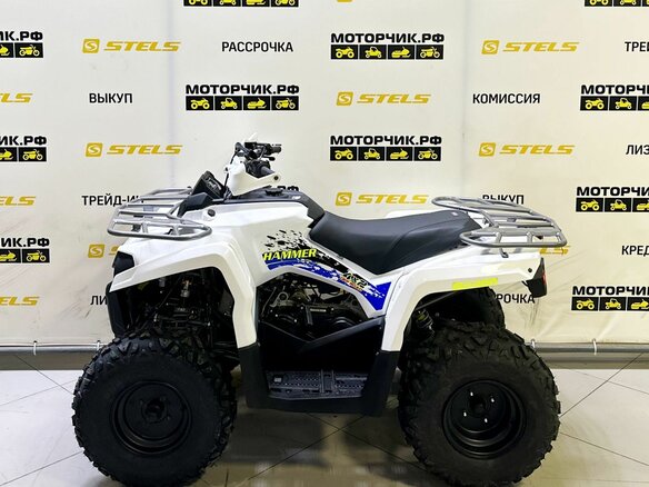 2025 Bison ATV200, белый - вид 1