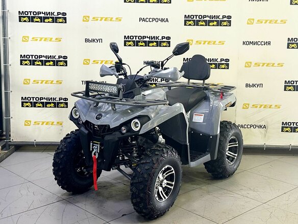 2025 Bison Hammer 250 PRO, серый