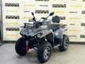 2025 Bison Hammer 250 PRO, серый