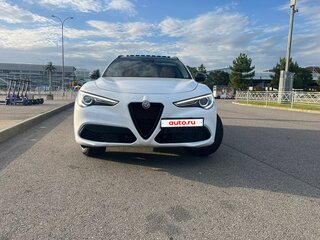 2019 Alfa Romeo Stelvio I, белый, 3350000 рублей, вид 2