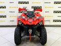 2025 Bison ATV200, красный - вид 7