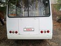 2017 ПАЗ 32053-20, белый, 770000 рублей - вид 1
