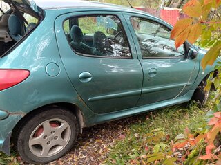 2000 Peugeot 206, зелёный, 145000 рублей, вид 5