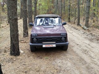 2012 Lada (ВАЗ) 2121 (4x4) I Рестайлинг, красный, 600000 рублей, вид 2