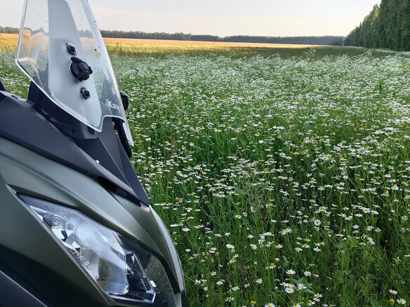 2018 Kawasaki Versys 650, зелёный, 699000 рублей - вид 5