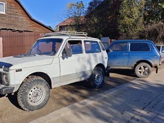 1994 Lada (ВАЗ) 2121 (4x4) I Рестайлинг, белый, 150000 рублей, вид 4