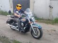 2009 Honda Shadow 750, серый, 570000 рублей
