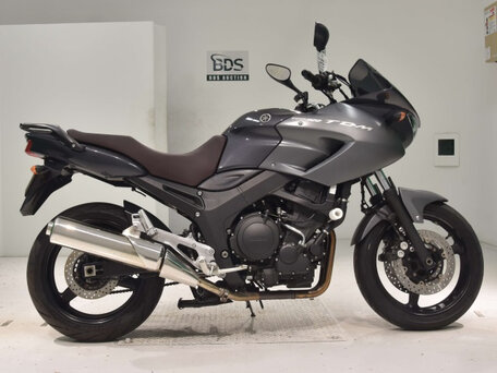2010 Yamaha TDM900, серый, 600000 рублей, вид 1