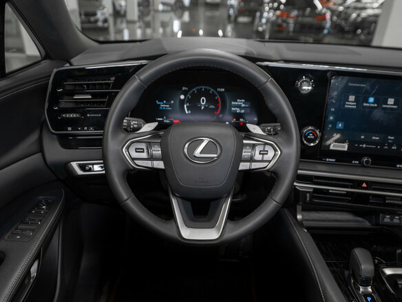 2025 Lexus RX 300 V, серый, 7450000 рублей - вид 10