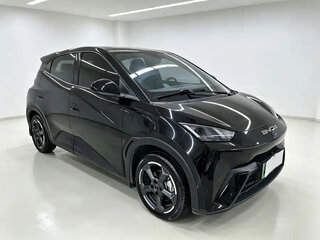 2024 BYD Seagull 38.88 kWh I, чёрный, 1650000 рублей, вид 4