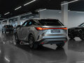 2025 Lexus RX 300 V, серый, 7450000 рублей - вид 3