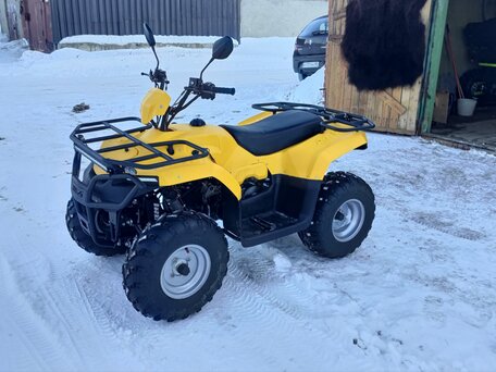2024 Irbis ATV 200U, жёлтый, 280000 рублей, вид 5