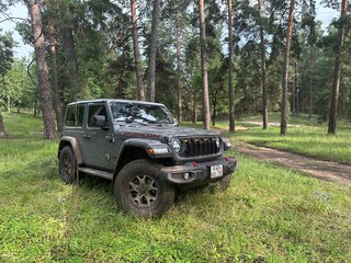 2020 Jeep Wrangler IV (JL), серый, 4600000 рублей, вид 5