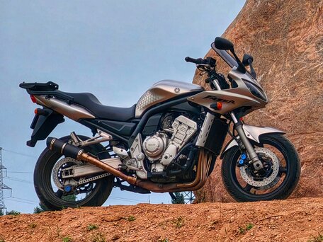 2003 Yamaha FZS1000 Fazer, серый, 390000 рублей, вид 1
