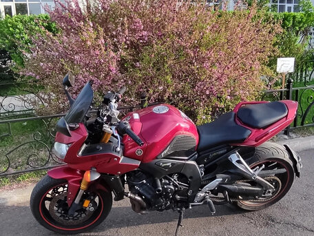 2006 Yamaha FZ1, красный, 500000 рублей, вид 3