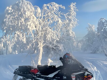 2020 BRP Lynx 49 Ranger 600, чёрный, 2100000 рублей, вид 1
