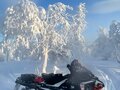 2020 BRP Lynx 49 Ranger 600, чёрный, 2100000 рублей