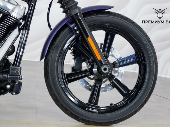 2025 Harley-Davidson Street Bob, фиолетовый - вид 10