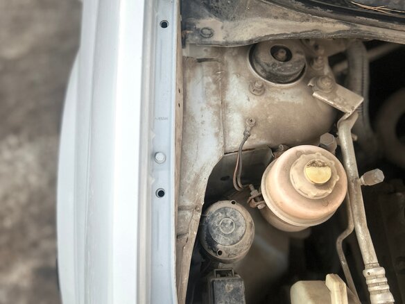 2007 Nissan Primera III (P12), серебристый - вид 9