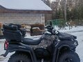 2021 CFMoto CFORCE 600 S EPS, бежевый, 750000 рублей - вид 2