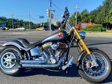 2005 Harley-Davidson Softail Custom, серый, 1200000 рублей, вид 3