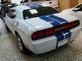 2013 Dodge Challenger III Рестайлинг, белый - вид 3