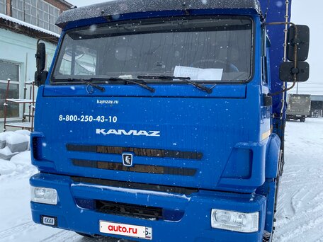 2019 КамАЗ 65117, синий, 4950000 рублей, вид 1