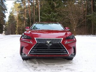 2019 Lexus NX 300 I Рестайлинг, красный, 3800000 рублей, вид 2
