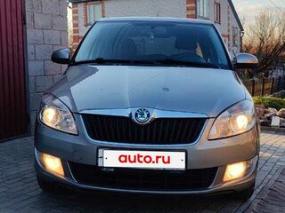 2011 Skoda Fabia II Рестайлинг, серый, 560000 рублей, вид 1
