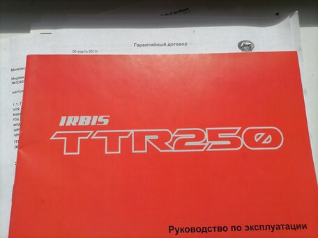 2012 Irbis TTR 250, серый, 85000 рублей, вид 4