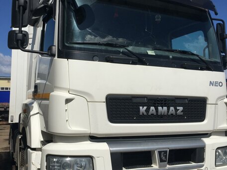 2019 КамАЗ 5490 NEO, белый, 4897000 рублей, вид 2