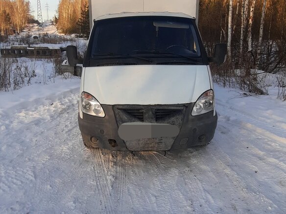 2011 ГАЗ ГАЗель (3302), белый, 700000 рублей - вид 7