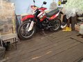2024 Racer Panther, красный, 165000 рублей - вид 5