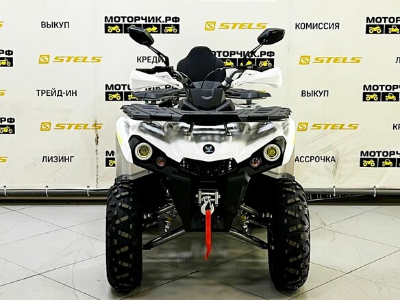 2025 Bison ATV200, чёрный - вид 2