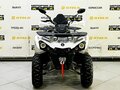 2025 Bison ATV200, чёрный - вид 2