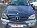 2002 Mercedes-Benz M-Класс 270 I (W163) Рестайлинг, синий, 698000 рублей - вид 1