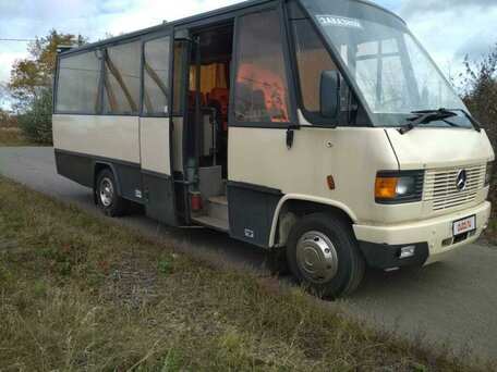 1987 Mercedes-Benz Vario, серый, 999999 рублей, вид 2