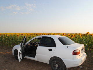 2005 Daewoo Sens I, белый, 250000 рублей, вид 3
