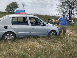 2003 Renault Symbol I Рестайлинг, серый, 250000 рублей, вид 5