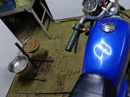 2020 Regulmoto Alpha (RM-1), синий, 85000 рублей, вид 3