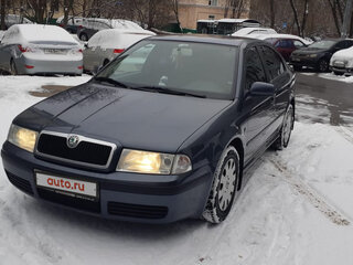 2009 Skoda Octavia I (A4) Рестайлинг, серый, 400000 рублей, вид 1